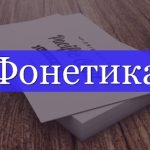 Фонетика як розділ мовознавства: що вивчає наука про звуки